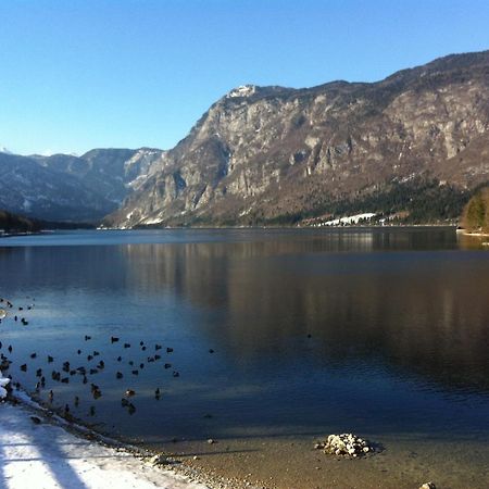 Bistrica 1 Leilighet Bohinj Eksteriør bilde