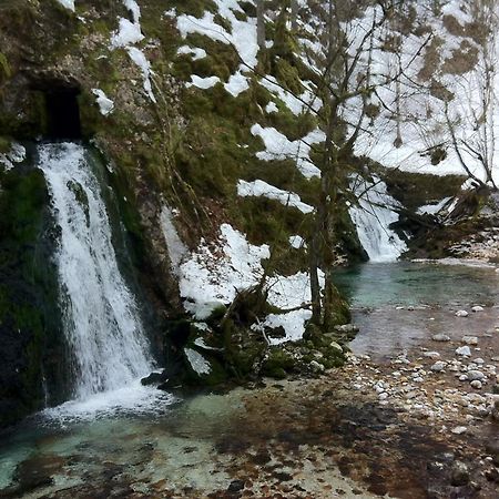 Bistrica 1 Leilighet Bohinj Eksteriør bilde