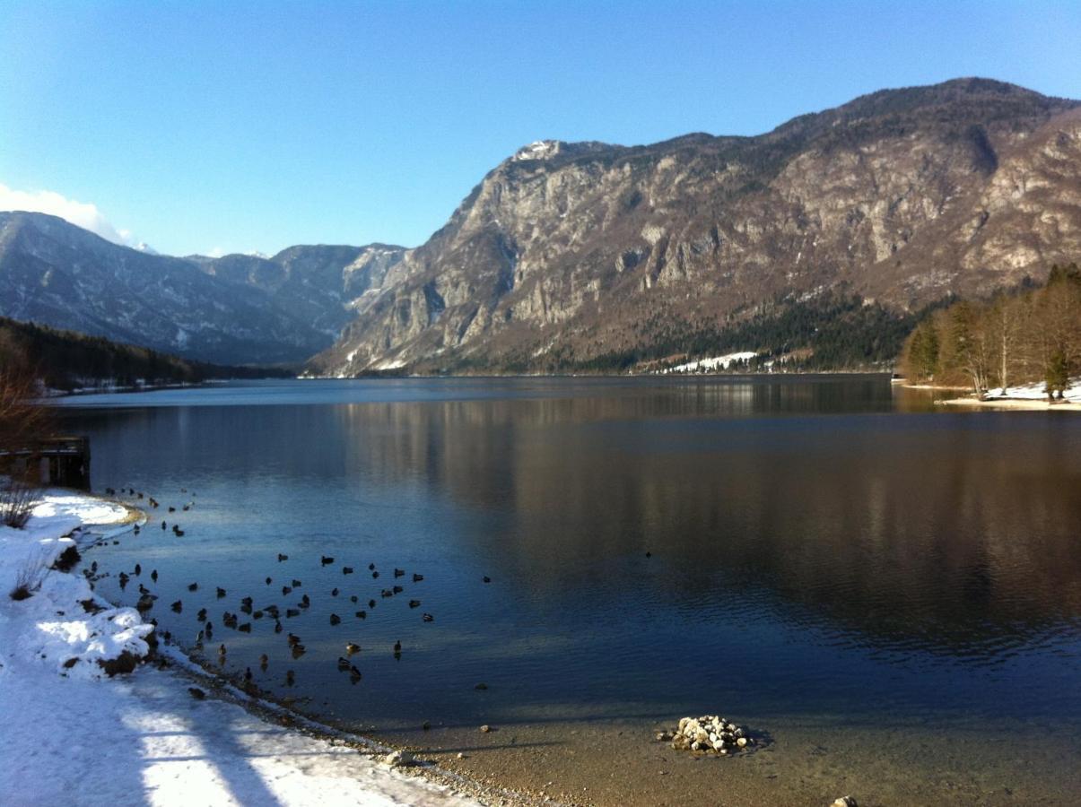 Bistrica 1 Leilighet Bohinj Eksteriør bilde